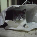 lovepeaceandcheese avatar