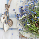 loveprettypictures avatar