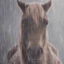 lover-girl-for-life avatar