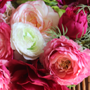 lover-of-flower avatar