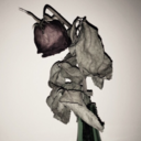 lover-of-sadness avatar