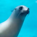 loverboypuppet avatar