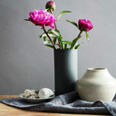 loverillusion avatar