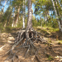 lovernotfighterr avatar