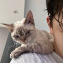 loversdespair avatar