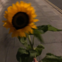 loversunflowers avatar