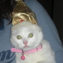 lovesicks-posts avatar