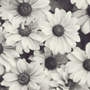 lovethesummertime avatar