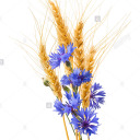 lovethyauthors avatar