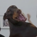 loveursoulblog avatar