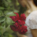 lovevanillaprincess avatar