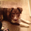 loveyou-withthetruth avatar