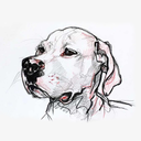 loving-dogs avatar