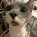 loving-the-dead16 avatar