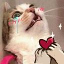 loving-vesper avatar