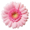 lovingastrology-blog1 avatar