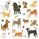 lovingdogs avatar