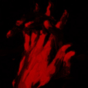 lovingfrances avatar