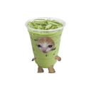 lovinggmatcha avatar