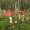 low-cal-storage avatar