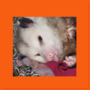 low-quality-mood avatar