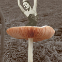 lower-me-down avatar