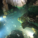 lowexpectationz avatar