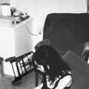 lowexperiences avatar