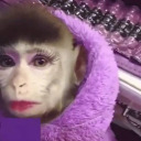 lowkeygarbage avatar