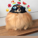 lowkeyhatescoffee avatar