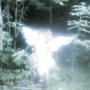 lowlifefairy avatar