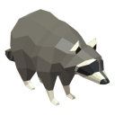 lowpolyraccoon avatar