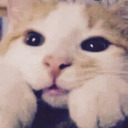 lowsingchyuan avatar