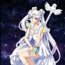 loxosceleslolo avatar