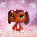 lps-sparkles avatar