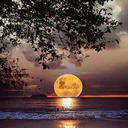 ltlbear56-blog avatar