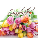 luandradeblog avatar