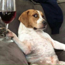 luardoscorais avatar