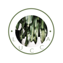 luccamagazine avatar