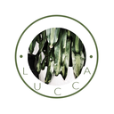 luccamoodboard avatar