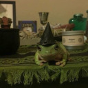 lucienlachanceistheloml avatar