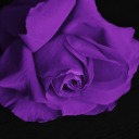 luciferablack avatar