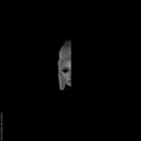 luciferiadophidia avatar