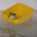 luckilynobody avatar