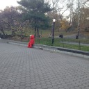 lucky-collector-goatee avatar