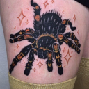 lucky-internet-bird avatar