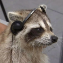 lucky-studyblr avatar