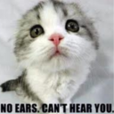 luckydeen-blog-blog avatar