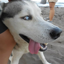 luckyduck48world avatar