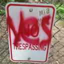 luckyduckylulu avatar